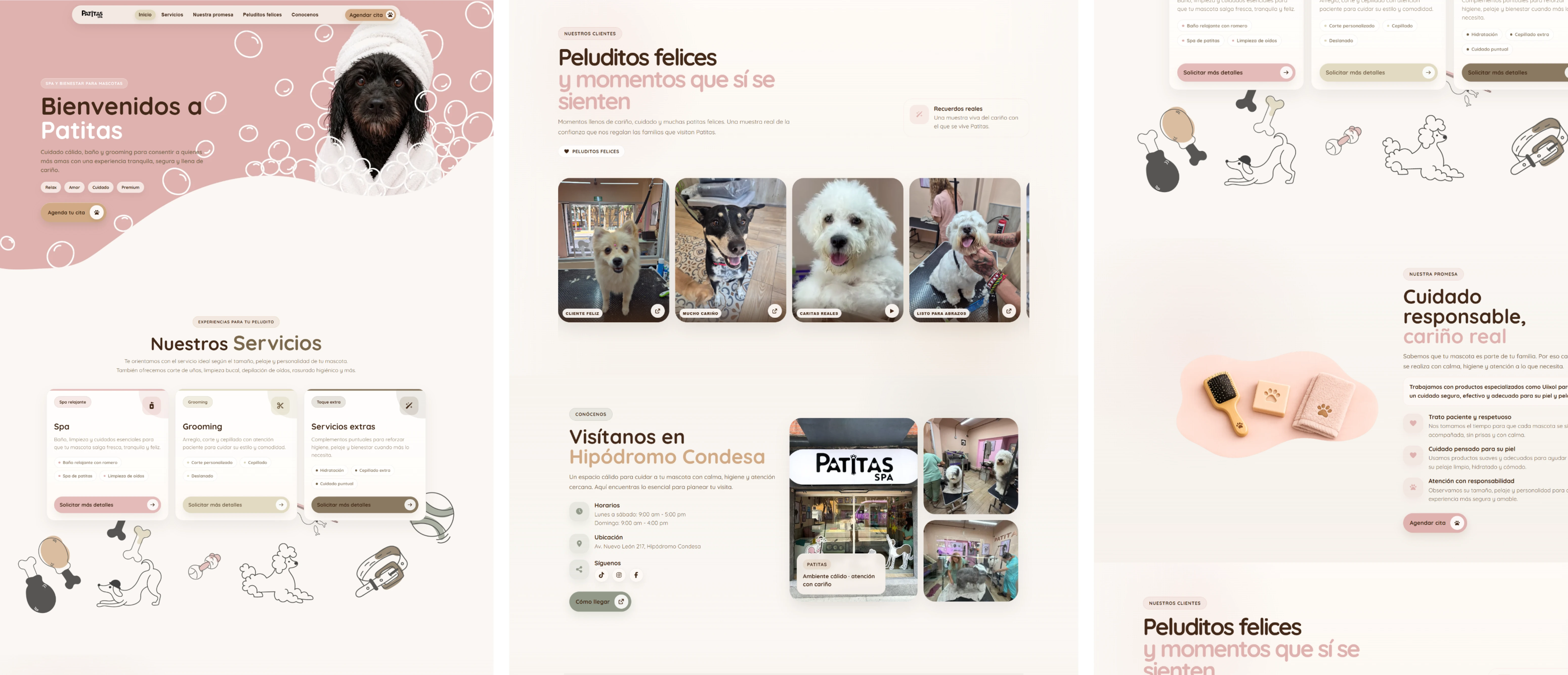 Vista completa del diseño web de Patitas